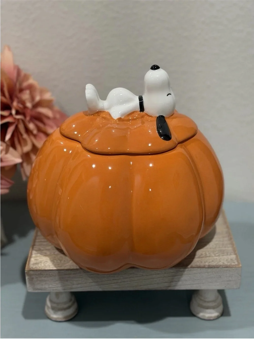 Rae Dunn x Peanuts Snoopy's Snacks Halloween Pumpkin Cookie Jar. Pet Treats